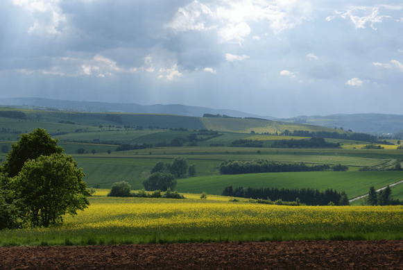 vomstadtberg_1